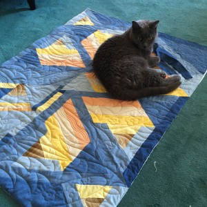 Can you imagine surfing ginger cats in this quilt?