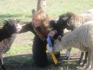 Laura Stremick-Thompson award winning fleeces at Wisconsin Sheep and Wool Festival