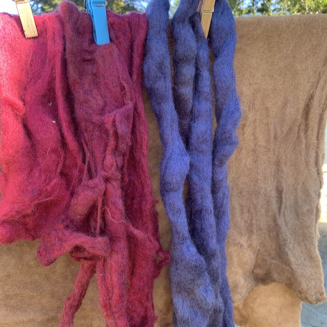 Autumn olive dye bath on red, blue and white wool